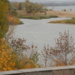 Herbstaktivitäten des Städtepartnerschaftsvereins Köln-Wolgograd